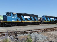 Diesel Electric Services matching pair of ex CN SD40-2W's