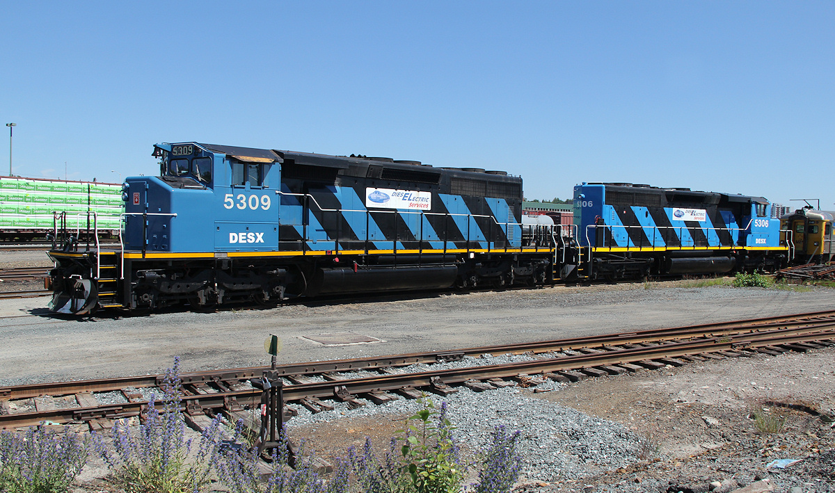 Diesel Electric Services matching pair of ex CN SD40-2W's