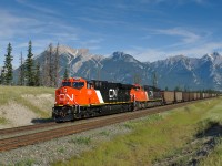 All dressed up for Canada Day, sparkling clean ES44AC 2833 speeds towards Jasper with 116 car loads of coal for Prince Rupert. Although still quite new, 2833 was recently spiffed up to lead a Chairman's train between Vancouver and Squamish.