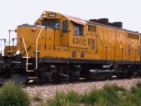 Another early shot of Tom Payne's CWR Railway.  In August 1988 GP7 4302 hauls grain cars between Donalda and Meeting Creek, an area where the tracks have now long been lifted.