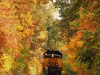 After dropping off a string of bulkheads and coil cars at the Windsor docks, ETR 104 glides through a tunnel of trees on his way back to Ojibway yard. With Fall just around the corner, colourfull shots like this will soon again be possible.
