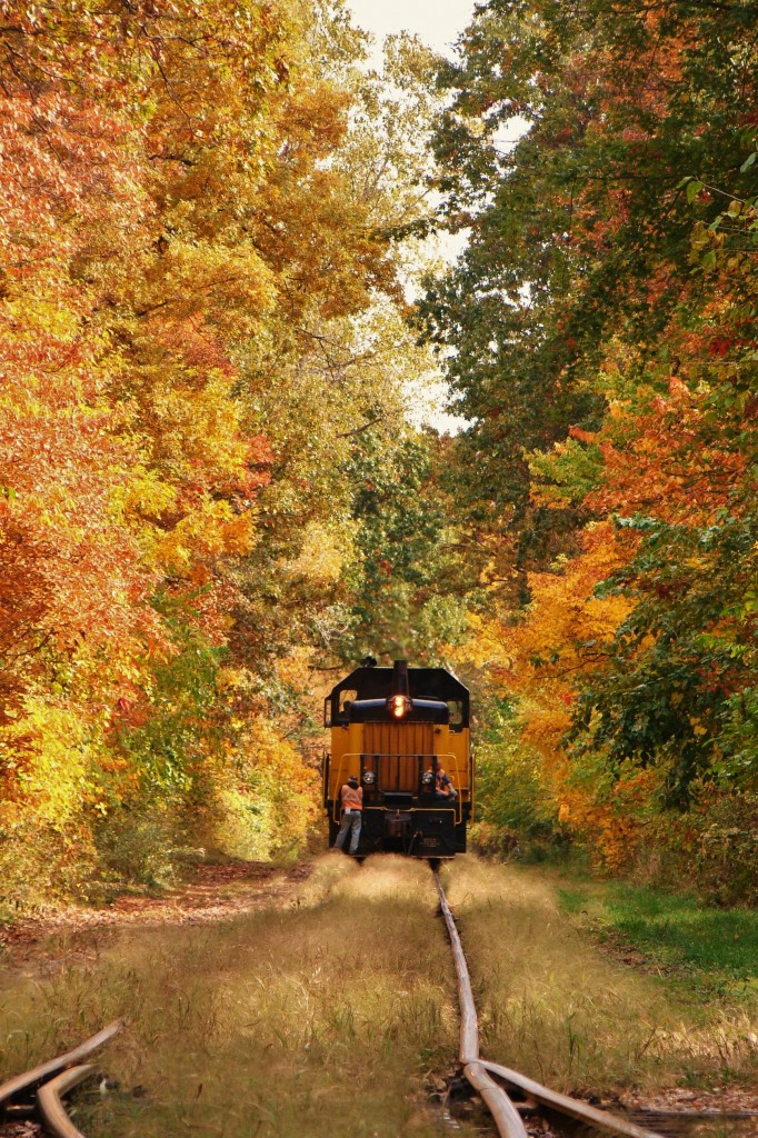 After dropping off a string of bulkheads and coil cars at the Windsor docks, ETR 104 glides through a tunnel of trees on his way back to Ojibway yard. With Fall just around the corner, colourfull shots like this will soon again be possible.