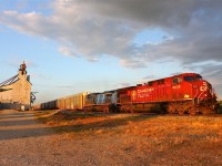 CP 147 rips through Arkwood with a leased CEFX AC4400CW trailing and a long stretch of loaded autoracks in the last hour of sunlight.