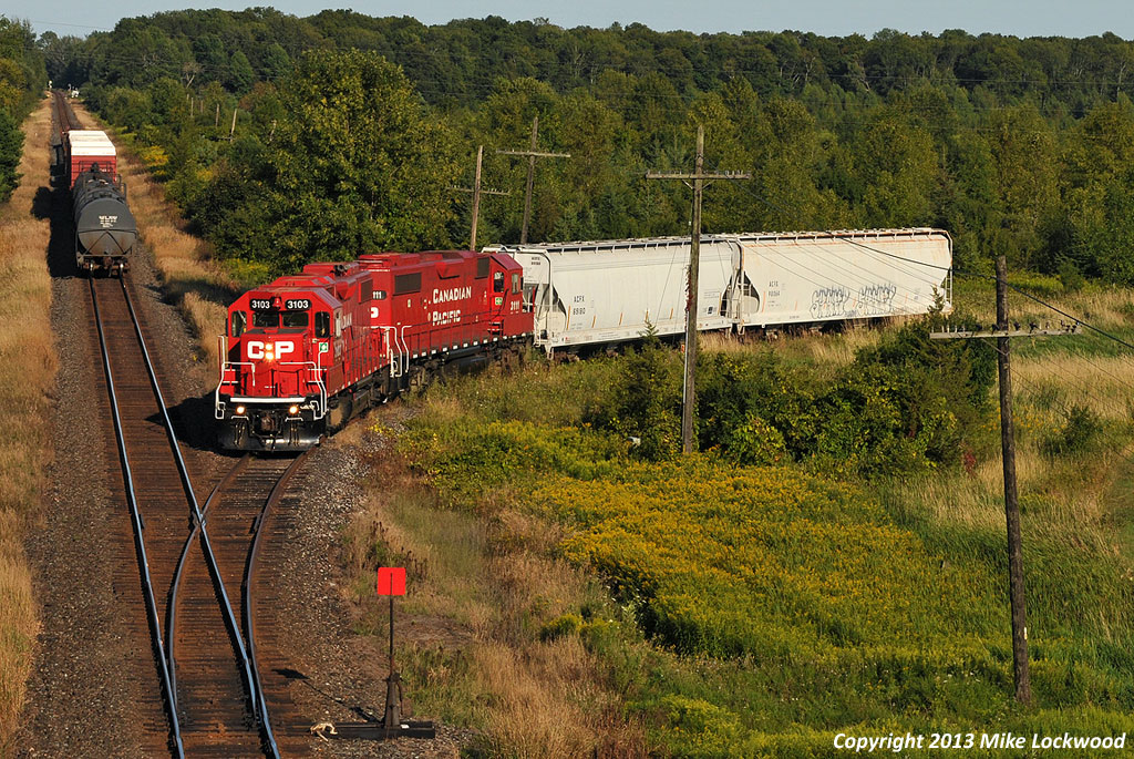 Just west of the west end of Spicer siding, there is a spur that heads south off the Belleville Sub serving a single customer (I believe its Sabia). I was lucky enough to catch the Trenton Turn (locally known as the Turd) setting off two and lifting two after meeting 118 at Spicer. With perfect lighting and clean, matched power, the Turd squeals through the sharp curve onto the spur, while the balance of their train holds the main. In total, 16 cars on the Turd this day, eight revenue and eight non-revenue, including three 521*** series COFC flats. CP 3103, 3111. 1755hrs.