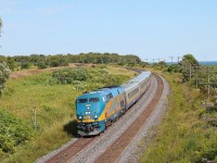 Quite a fast VIA Doing about 60 mp/h sneaked up on us at Lovekin. Glad I could at least snap a picture, but sadly no video.