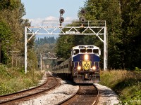The westbound Rocky Mountaineer heads northbound through the signal bridges at Piper on a sunny afternoon, as the train gets close to its destination of Vancouver, BC. 