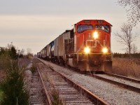CN 5638 is in charge of today's daily Windsor to London freight, on his way back home west to Windsor. The train has just turned off of the former CSX Sarnia sub (in CN control from Chatham to Blenheim) and onto the now gone CASO sub. Within three weeks these rails would be abandoned. 