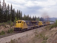 Southbound freight rolls into Swan Landing with an impressive collection of GE Dash 7 diesels.