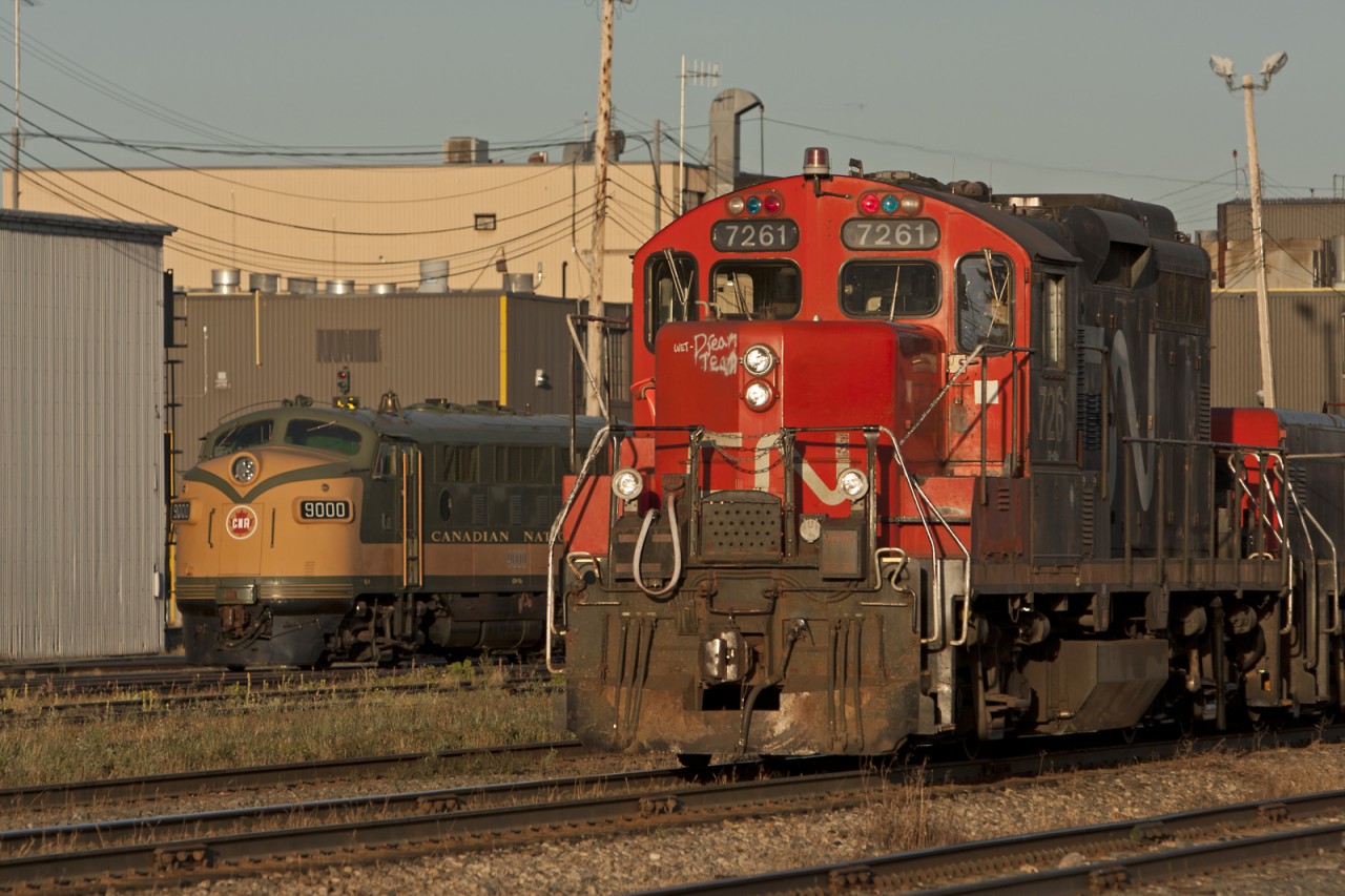 A Pioneer and an everyday work horse compare notes in the yard.