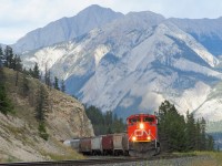 CN 411 negotiates the last few curves before Jasper yard.