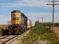 The final run. On a gorgeous early fall day, CSX local D924 heads west out of Dresden after running around it's train so he can switch Tupperville and proceed back north to Sarnia. This will be the last train over these rails, and service to Wallaceburg is said to cease before October 2 2013. Ownership of the line will be changing hands from CSX to the Municipality of Chatham-Kent on October 3, and if a shortline operator isn't found before that time, these rails face a very uncertain future. A deal with CANDO fell through during the summer, although there are a couple of other contenders interested in operating the line, but if C-K cannot close on a deal before the deadline, CP (who has an agreement with C-K to hold possession of the rails) has threatened to scrap the rail.