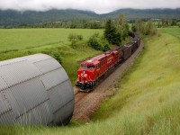 CP 8944 is about to enter this giant culvert that passes underneath Notch Hill Rd. with a westbound coal train.