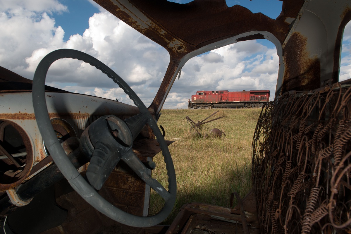 I am not sure which looks more neglected.