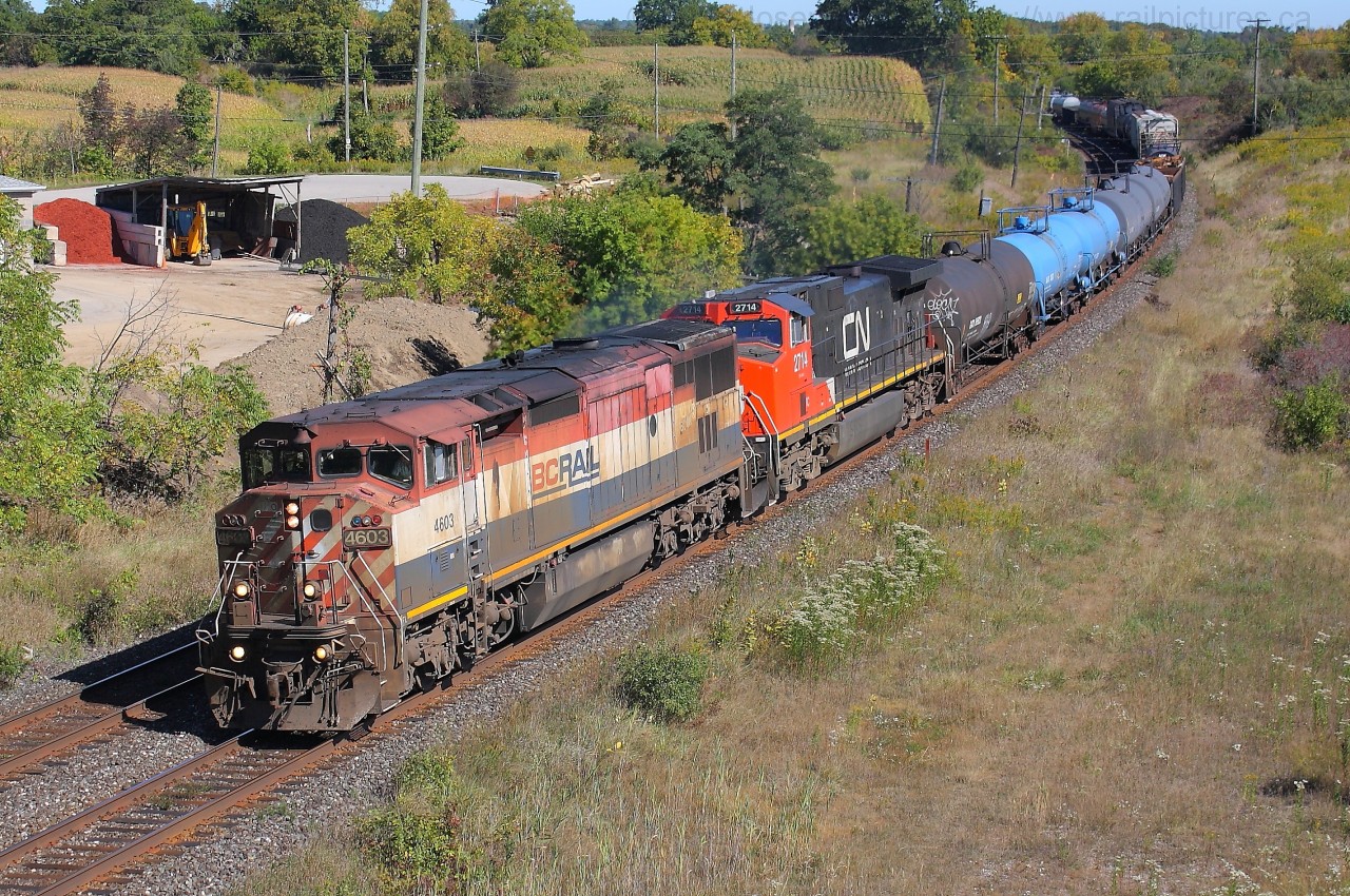 BCOL 4603 and IC 2714 muscle CN 331 by Garden Avenue in Brantford as the approach Masseys.