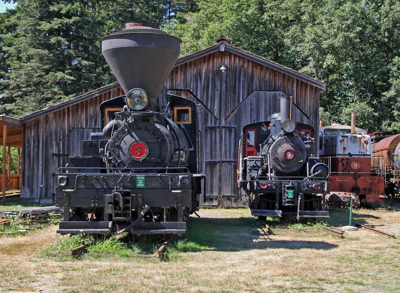 Standard gauge locomotives Mayo Lumber No. 3, a 1924 built Lima 50-Ton 2-Truck Shay, Hillcrest Lumber Company No. 9, a 50-Ton 2-Truck Climax and in the right background Whitcomb Locomotive Works 80-DE-7-B originally built for the US military in 1944.
