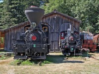 Standard gauge locomotives Mayo Lumber No. 3, a 1924 built Lima 50-Ton 2-Truck Shay, Hillcrest Lumber Company No. 9, a 50-Ton 2-Truck Climax and in the right background Whitcomb Locomotive Works 80-DE-7-B originally built for the US military in 1944.