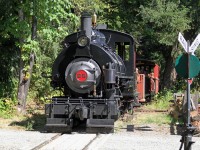 Approaching the station at the end of her run #25 emerges from the "forest" part of her run.