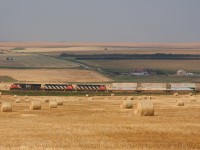 Wheat fields as far as the eye can see. CN 2231 leads a very long train 115 towards Calgary with all intermodal cars. Doesn't get much more Alberta than this, farms, wheat, bales, combines and oil derrick in the distance. 