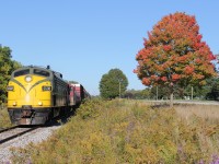 OSRX 6508 leads a decent-sized string of train cars for Ingersoll. Here it is running at a good speed between Woodstock and Beachville on the CP St. Thomas Sub and passed a tree signalling the early signs of autumn.