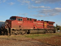CP AC4400CW basks in the evening sun on the elevator spur at Leduc, AB Sep 26, 2013.  