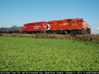 CP 3015 and 2212 have a pretty good handle on the 2 car T29 "Chatham Wayfreight" today as they pass the eastern "Belle River" mile board on their way to Chatham to perform their daily switching duties.