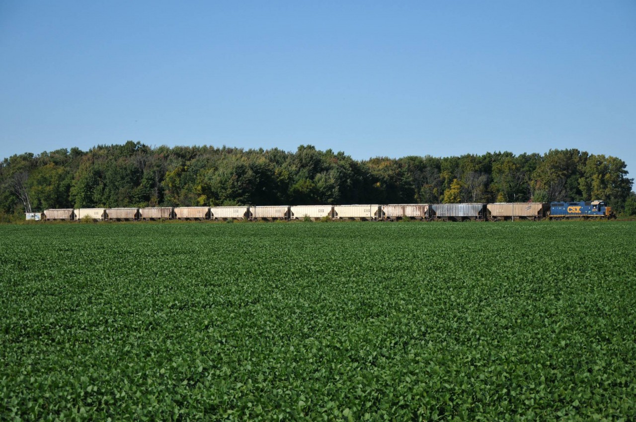 Now with his dozen grain cars and shoving home we see 2574 on the tail end of his train shoving the 20 odd kilometers back to Sombra where he will be able to run around his train. Due to a derailment the day before, the siding in Wallaceburg was put out of service. Although the crew was none to happy about this long shove home, it topped off the last CSX mainline run for not only us but the old employees who fondly remember such a thing back in the days of cabooses. Friends, family and fellow railfans were all out to see this historic last run of the line and what a way to end an era of mainline action for CSX here in Southwestern Ontario.