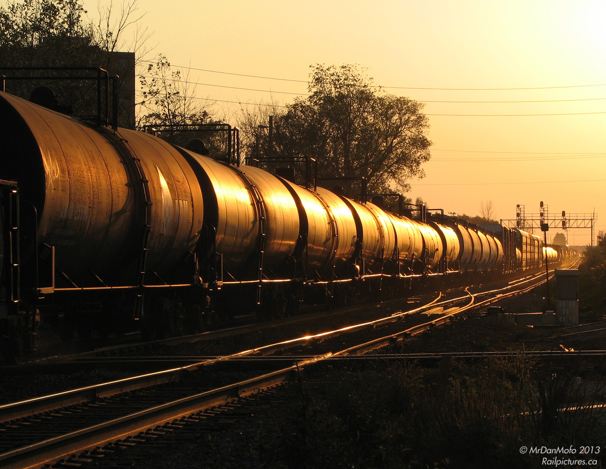 Rolling down the grade to downtown Brampton, CN 398's train of tank cars, grain hoppers, autoracks and general manifest freight bangs incessantly over the Brampton diamond, at the interlocking crossroads of the busy CN Halton Sub and Orangeville Brampton Railway (ex-CP) Owen Sound Spur, that can be seen crossing horizontally in the foreground.  Echoing and booming around downtown ever since the second rail line was laid in the 1800's by the Credit Valley Railway, the classic frog design diamonds would be replaced with a new type of diamond in a few years (2011): one that let the mainline (CN) remain seamless rail, while a train crossing on the lesser-used line (OBRY) would ride up and over the rail heads via its wheel flanges. No more of that welcoming bang-bang, bang-bang, bang-bang as heavy freights roll through downtown anymore (nor the katink-katink, katink-katink, katink-katink as lighter GO trains passed).