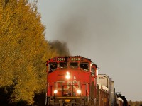 Westbound train 357 with classic GM power barks up the grade east of Wildwood Alberta