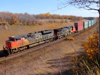 CN intermodal Q113 heads into Rivers.