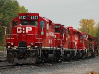 CP 8233 - CP 8200 - CP 3117 - CP 8707 and an AC4400CW resting at Kinnear on a wet sunday afternoon