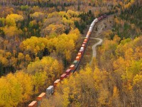 Fall colours are at their peak in the lowlands around Lake Superior's Kama Bay as CP 9828 with CP 9754, 5945 and 5740 lead Toronto to Coquitlam train 115 westward at mile 46 on the CP's Nipigon Sub. 