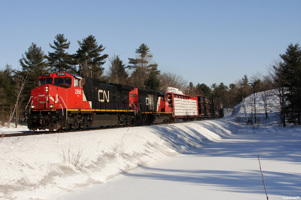 CN X301 - CN 2566 North leaning into the throttle leaving Sparrow Lake in the powder.