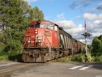 CN 451 - CN 5541 North in full throttle and at speed starts to crest the grade at Falkenburg enroute to North Bay, back when daylight action full of notable consists was in full force on CN's Newmarket sub.
