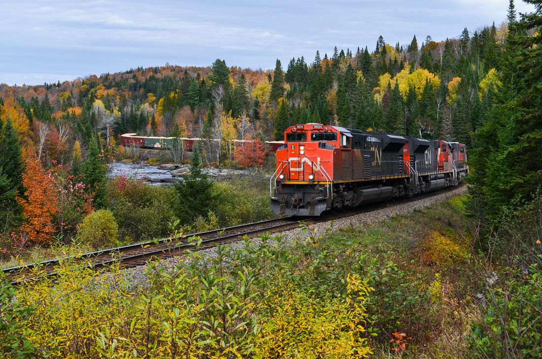 CN 8834 is at the head end of a monster CN 369 as it rounds a scenic s-curve on CN's rollercoaster Lac St-Jean sub. The train has 3 units at the head end (CN 8834, CN 8851 & IC 2719) and 2 more operating mid-train (CN 5650 & CN 8893) and weighs in at a whopping 13,000+ tons. The train was later than it usually is as it had broken a knuckle when departing its point of origin (Chambord, Qc). For more train photos, check out http://www.flickr.com/photos/mtlwestrailfan/