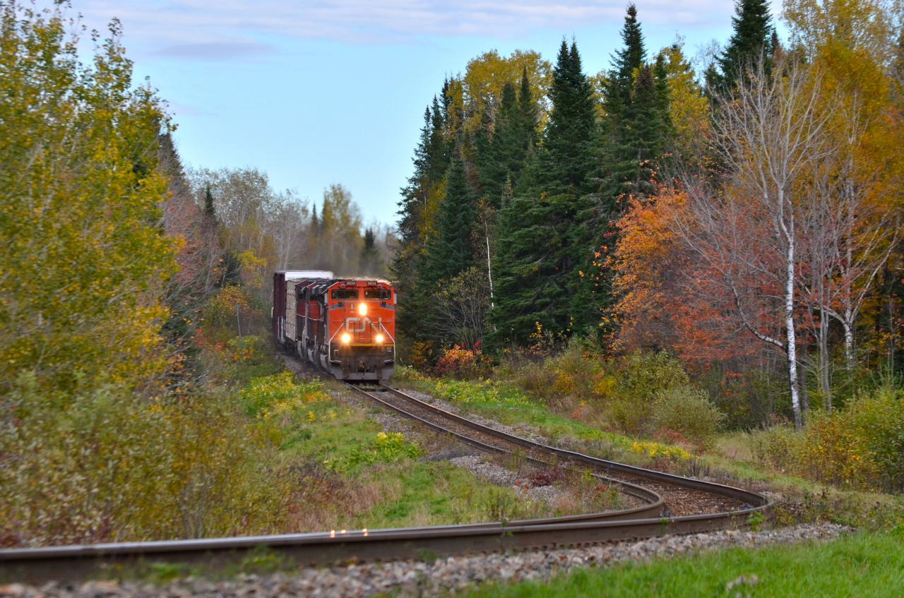 Really downgrade! CN 369 heads south on the scenic and up and down CN Lac St-Jean sub, led by CN 8834, CN 8851 & IC 2719. Operating mid-train was CN 5650 & CN 8893. This train weighed slightly over 13,000 tons. For more train photos, check out http://www.flickr.com/photos/mtlwestrailfan/