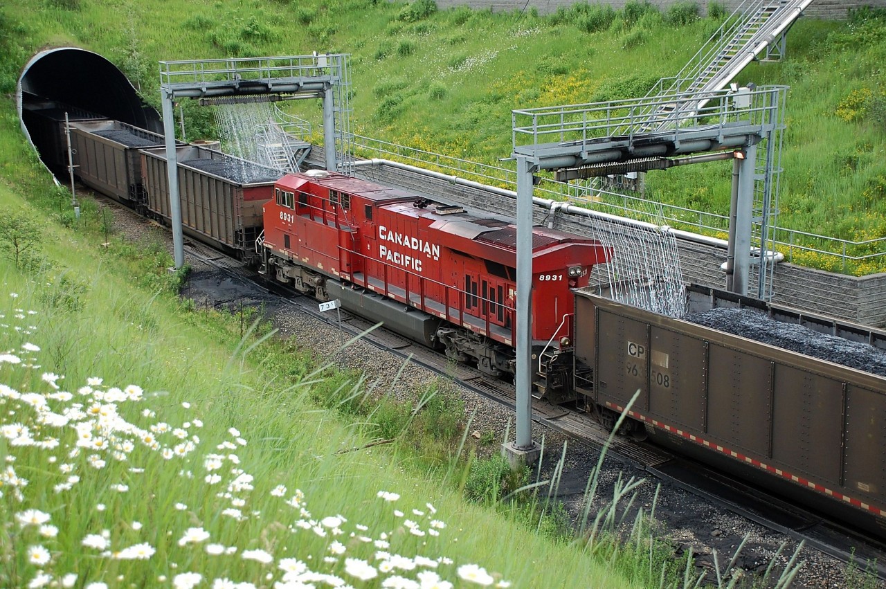 CP 8931 is the mid-train dp unit on this westbound coal train as it passes through the coal sprayers @Carlin.