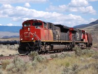 CN nos.8912&2232 bring a westbound mixed freight past Juniper Beach in the Thompson Valley.