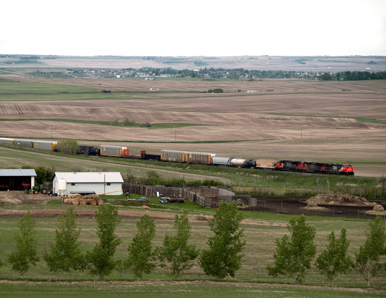 Toronto to Calgary train 115,now operating via the Edmonton to Calgary line account CN's abandonment of the Oyen and Drumheller Subs, in the rolling hills between Trochu and Three Hills Alberta.