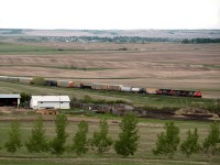Toronto to Calgary train 115,now operating via the Edmonton to Calgary line account CN's abandonment of the Oyen and Drumheller Subs, in the rolling hills between Trochu and Three Hills Alberta.