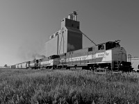 Eastbound Great Western freight with 3 M420's roll past the Admiral elevator