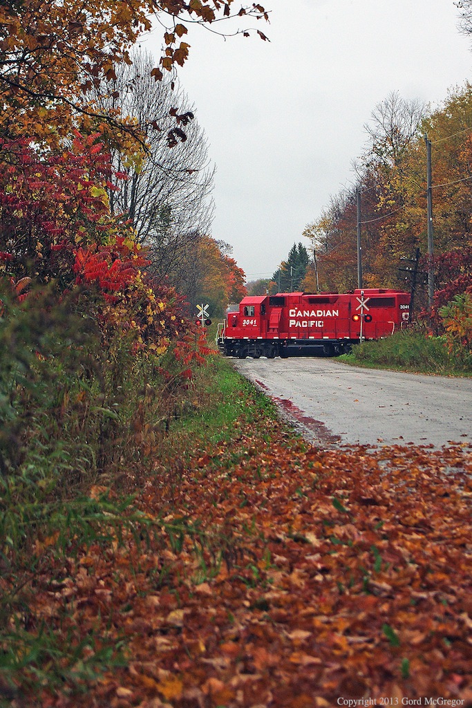 T08 compliments the foilage on Thanksgiving 2013.