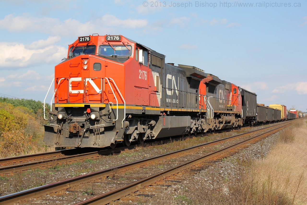 CN 331 flies towards the crossing at Powerline Road with CN 2176 and CN 2153.  I saw CN 2176 last week trailing on 331 and this week get it leading!