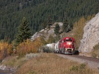 CP 3102 leads the Exshaw switcher this day back to Exshaw after working at the siding at Gap.