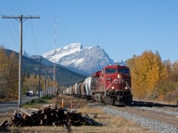 8722 is accelerating out of Exshaw with grain empties after pausing momentarily to allow a westbound to take the siding further down the track. It would end up being a long day for this crew who further down the line had to take a siding too, but wait over two hours to proceed towards Calgary. I believe it's length was the reason. I never counted the cars but it sure was long. 