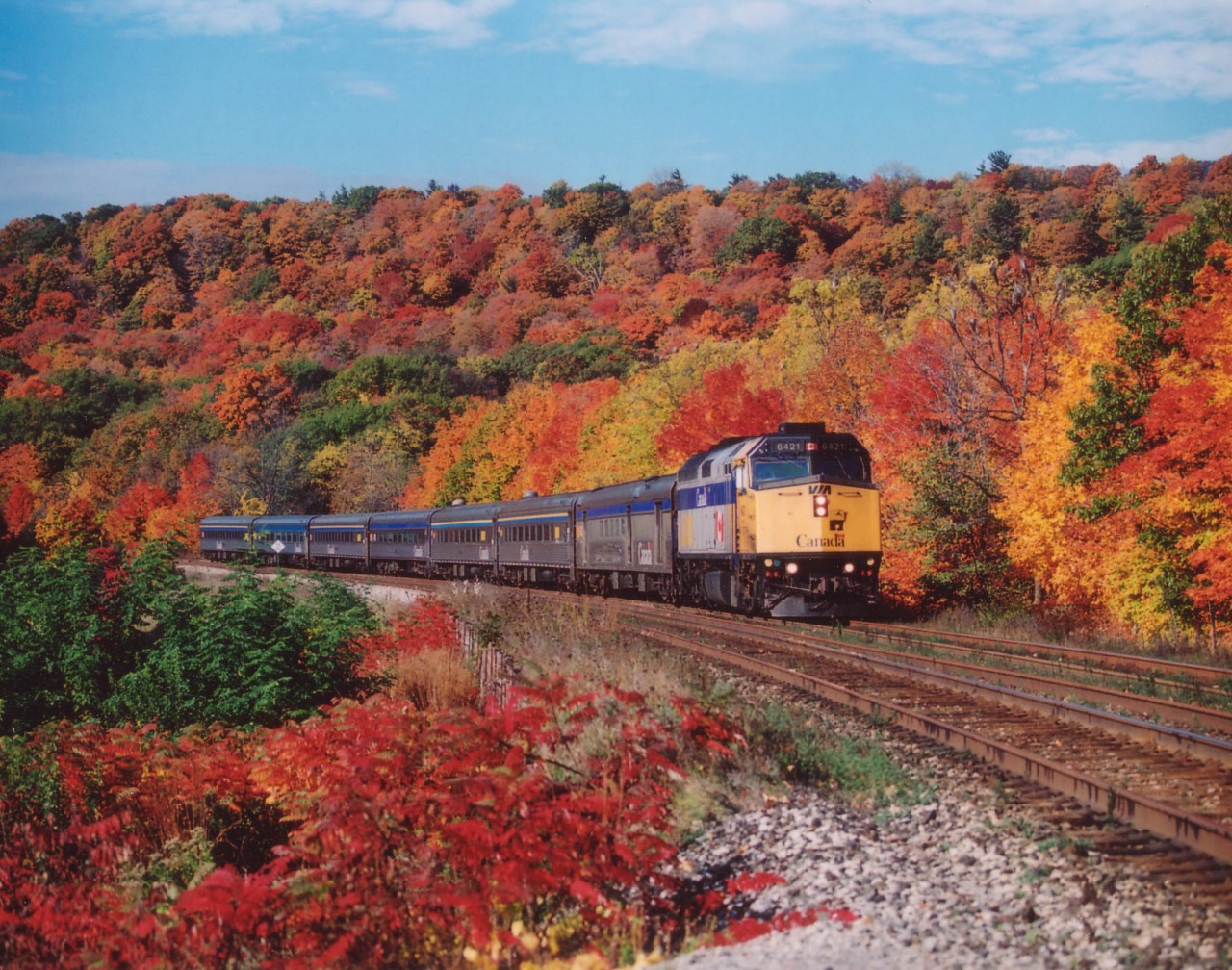 For my money, the fall of 2008 had some of the most brilliant autumn foliage I can ever remember. Case in point is this snazzy scene along the CN Dundas sub as VIA #70 with 6421 leader approaches bridge over York Rd. Date is October 15, 2008, time approximately 0925. The area is now mostly overgrown and is a much tighter shot than back then.