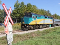 VIA 85 obeys a slow order as it trundles past an sub-protected road crossing just west of Kitchener on the approach to the old Petersburg siding at the hamlet of Petersburg. The sign "Danger - High Speed Trains" does a great job at warning motorists!