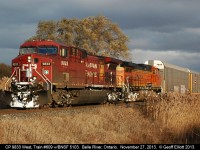 CP 9833 has BNSF 5103 trailing on 609-326 as it comes into the sunlight from what had to be the smallest sucker hole ever!!!  609 doesn't look like an empty ethanol train with 21 autoracks on the point but he has 100 empty tanks following. BIG train with cool power.......