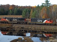 CN 2259 and IC 6113 roll southbound with 114's train at Brignall. 1127hrs.