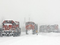 After spending at least the last half hour sweeping out the Walker's Siding/South track crossovers and derail (and tying up almost every crossing on the Dundas sub in London), a rather long CN 509 slowly pulls down the west lead into Racecourse yard while a very cold CN 4707-1412 try to keep warm on their day off. In the distance, CN 439 lifts CN 4116 off the shop track for transport to Chatham. 