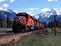 CP train 605 cruises through Greely, about 6 miles away from Revelstoke where the crew will get some much deserved rest.  Having conquered Rogers Pass, hundreds of miles of challenging terrain still lie ahead for train 605 before reaching the west coast; including Notch Hill on the Shuswap Sub and the treacherous Thompson and Fraser Canyons.